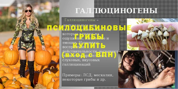 хмурый Гатчина