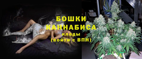 a pvp Магас
