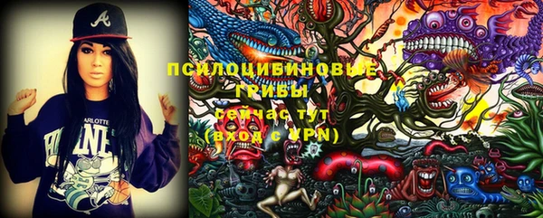 не бодяженный Галич